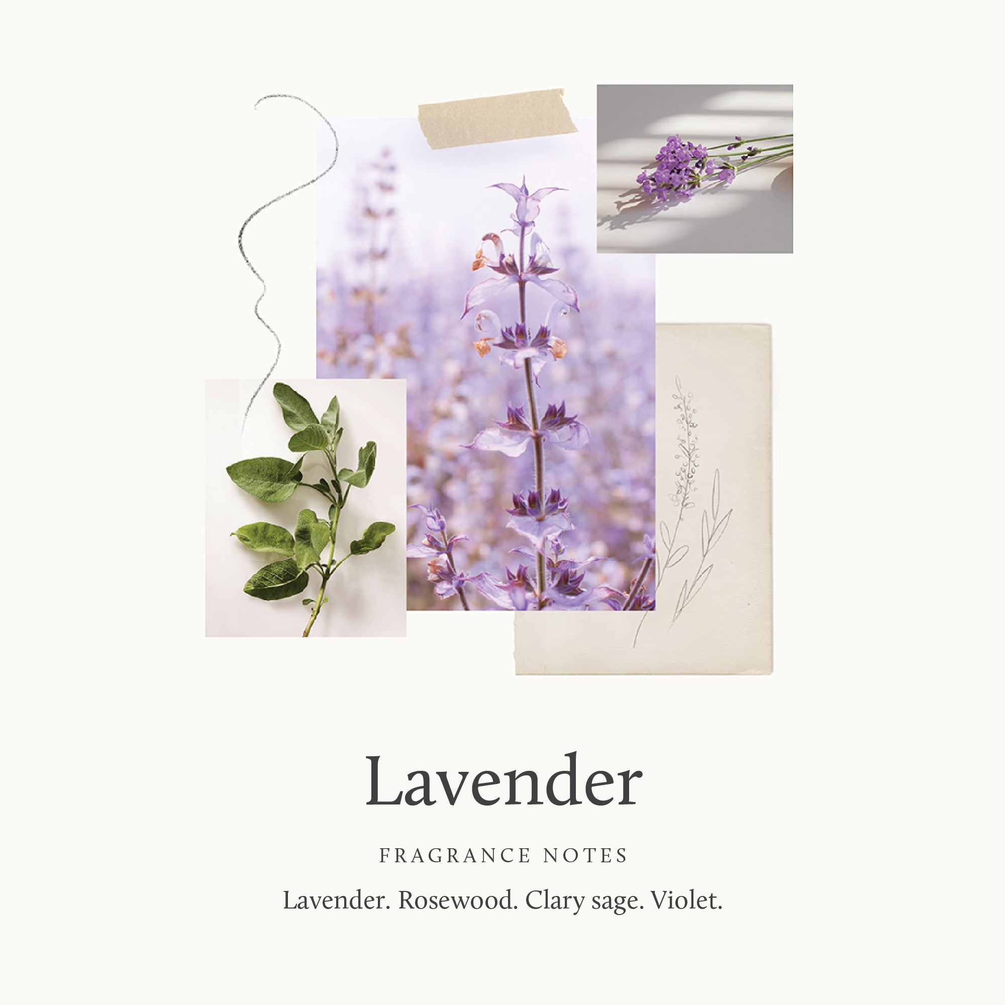 Lavender Replenishing Hand Lotion - Image 3