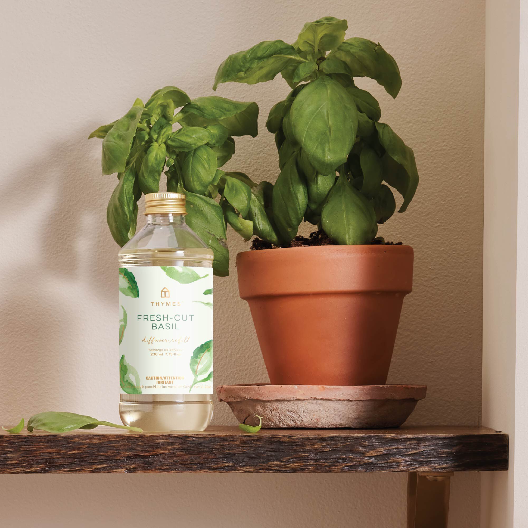 Fresh-Cut Basil Reed Diffuser Oil Refill - Image 2