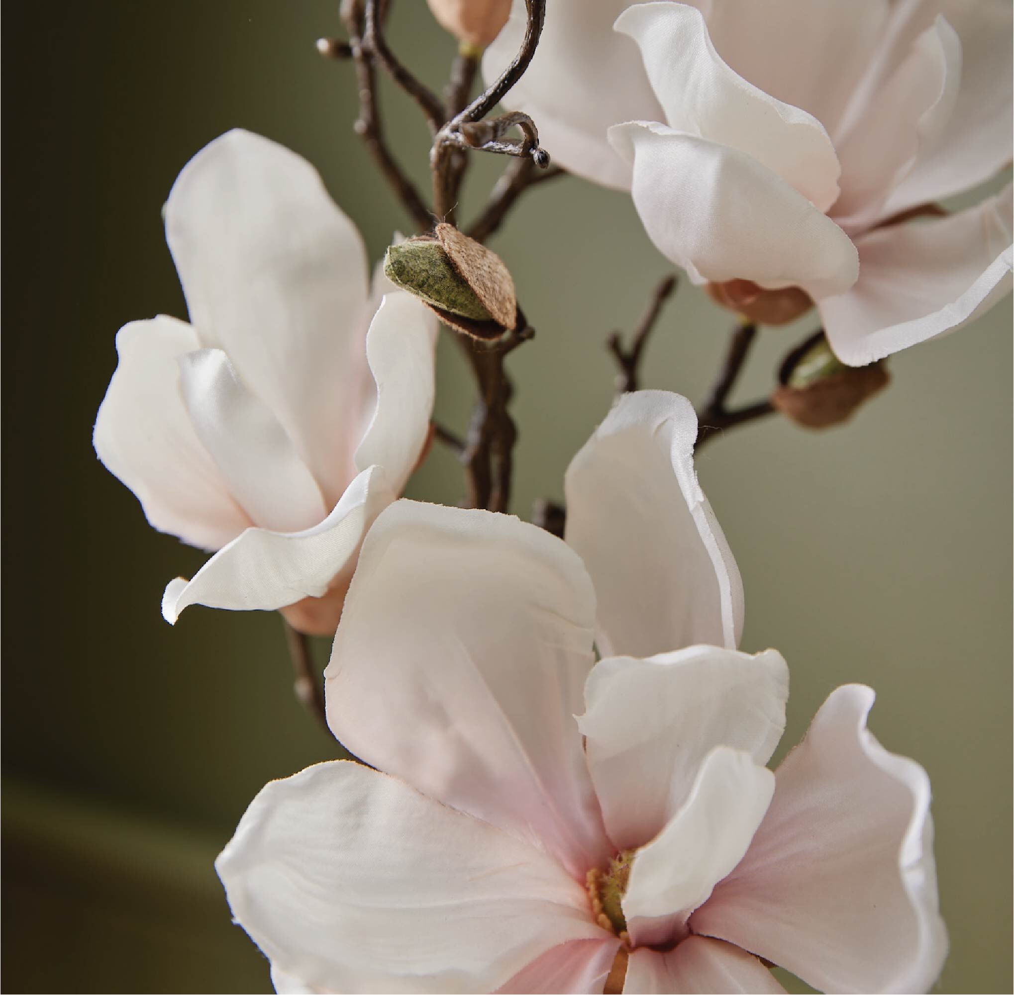 Magnolia Willow Hand Lotion - Image 3