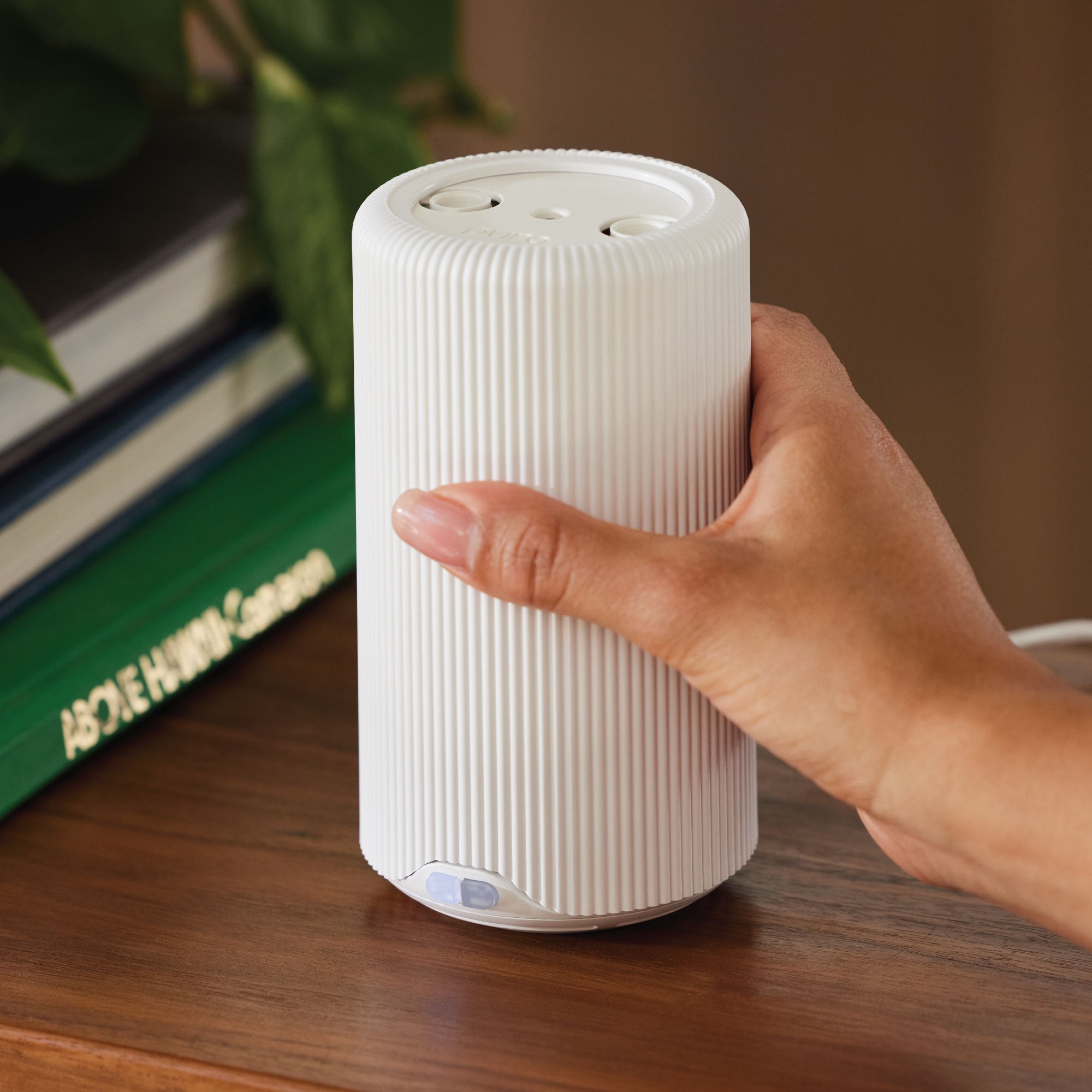 Frasier Fir? Pura Plus? Diffuser Kit - Image 3